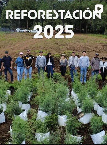 Reel de Rancho Michoacán: Reforestación 2025 con el equipo en la huerta