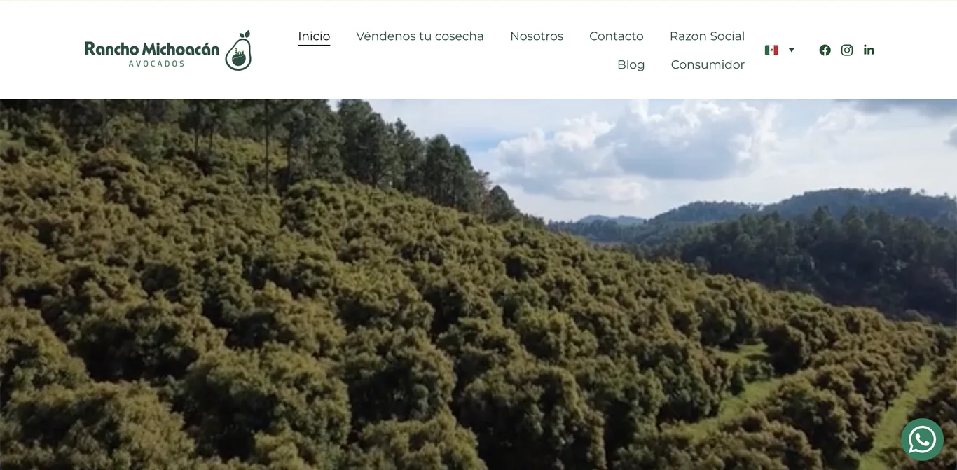 Captura del sitio Exportadora Rancho Michoacán